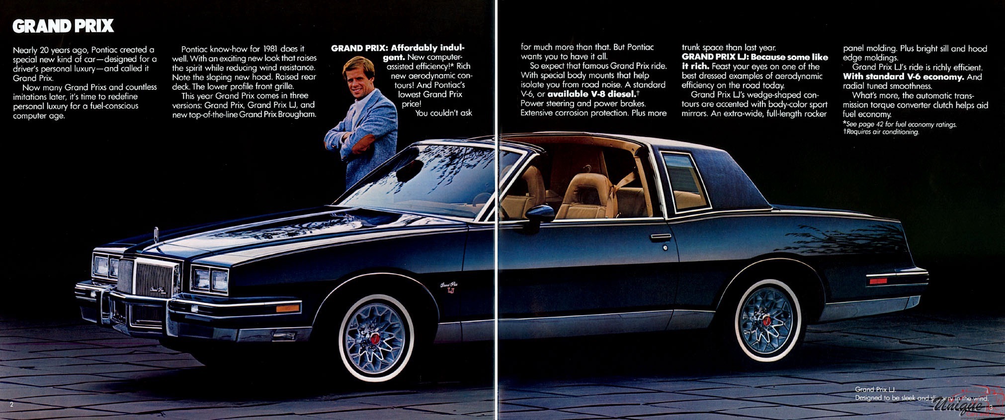 1981 Pontiac Brochure Page 23